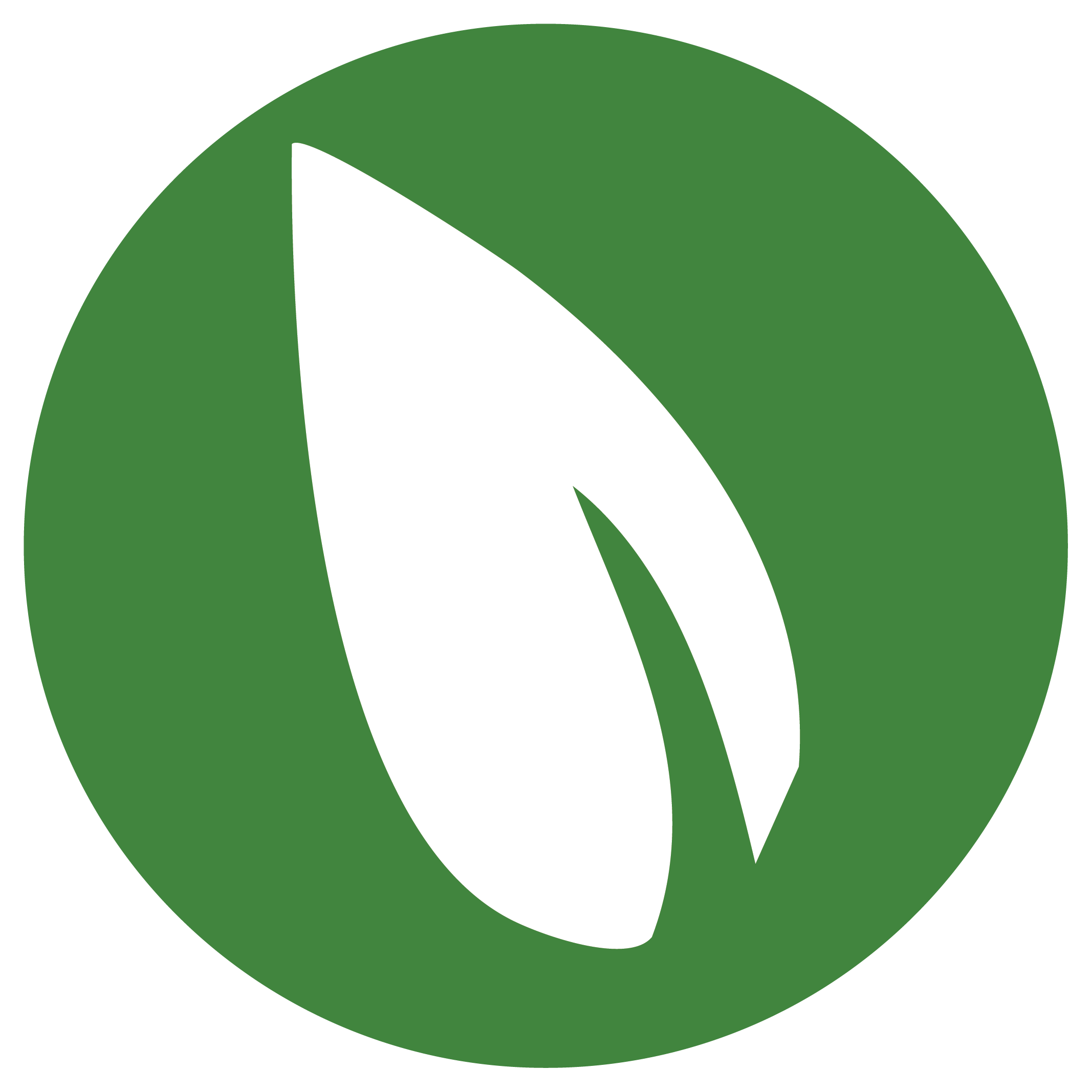 RYE General Contractors - Site Icon Green and White